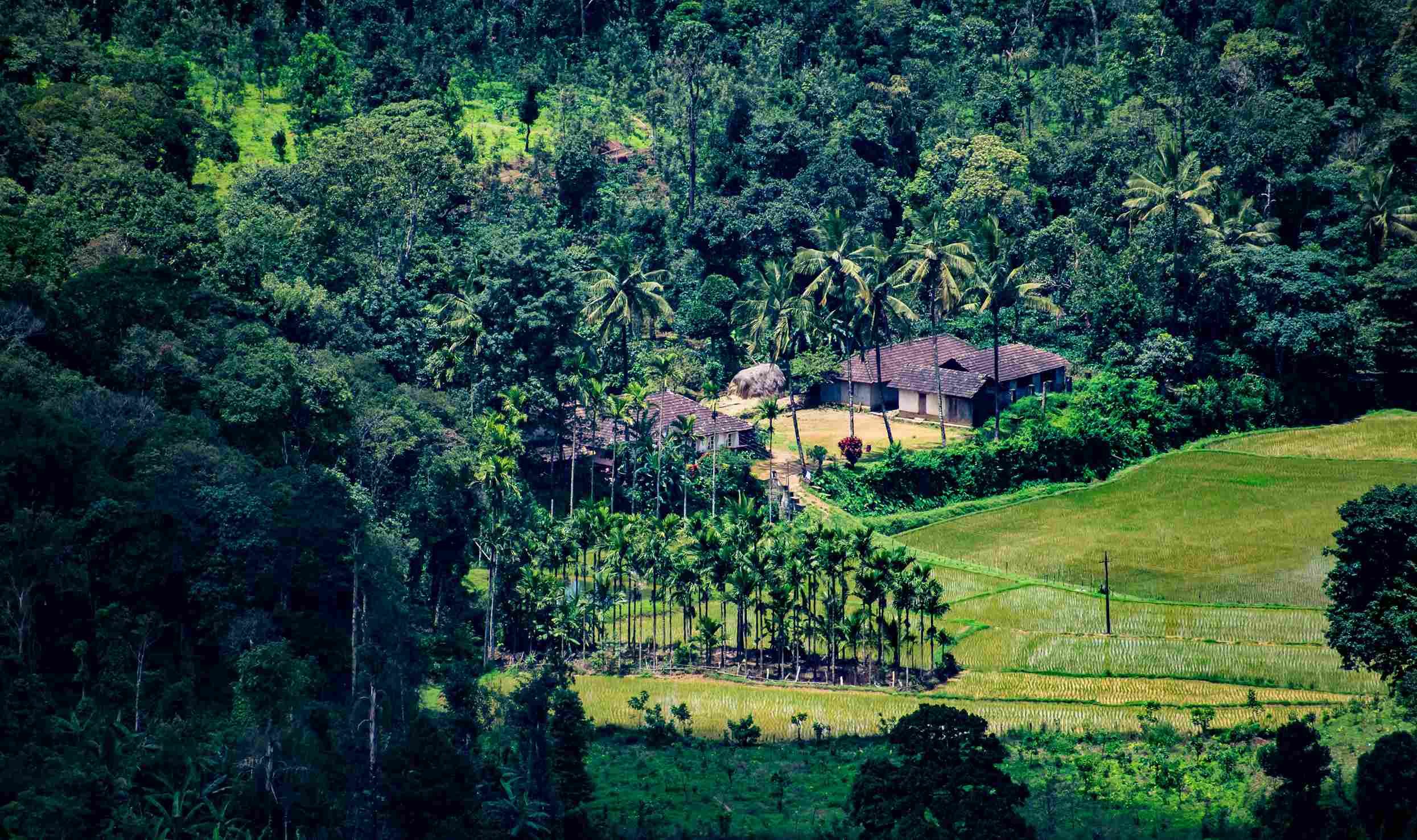 Coorg
